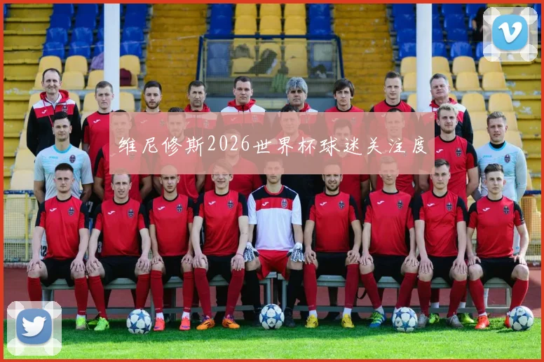 维尼修斯2026世界杯球迷关注度