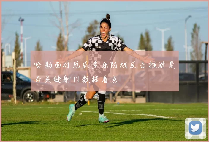 哈勒面对厄瓜多尔防线反击推进是否关键射门数据看点