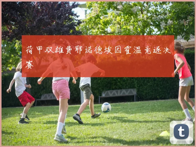 荷甲双雄费耶诺德埃因霍温竞逐决赛