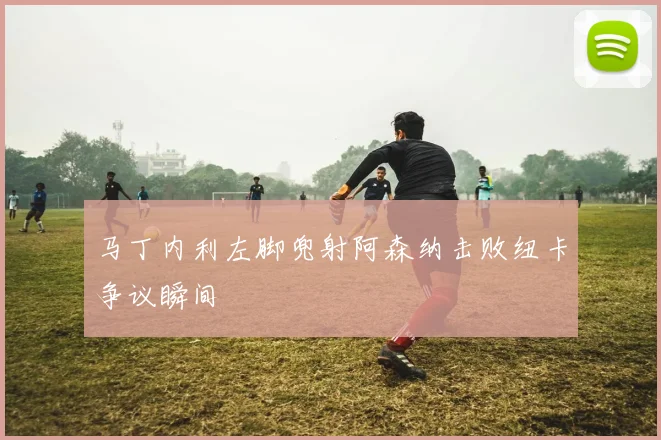 马丁内利左脚兜射阿森纳击败纽卡争议瞬间