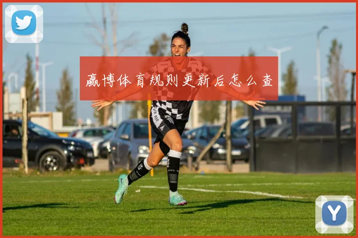 赢博体育规则更新后怎么查